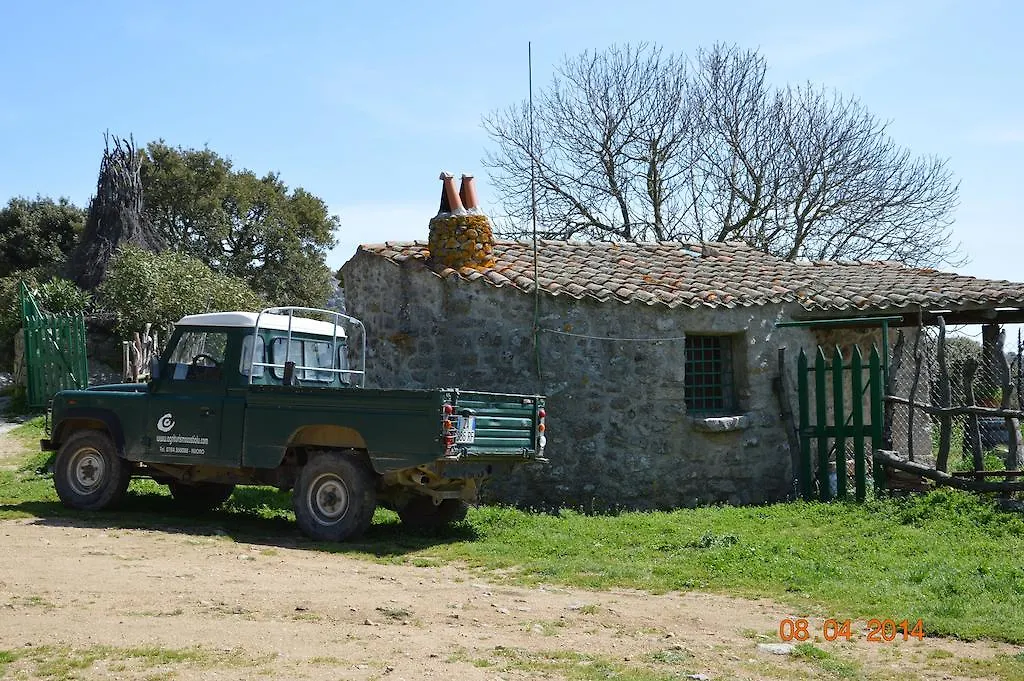 Agriturismo Costiolu Nuoro