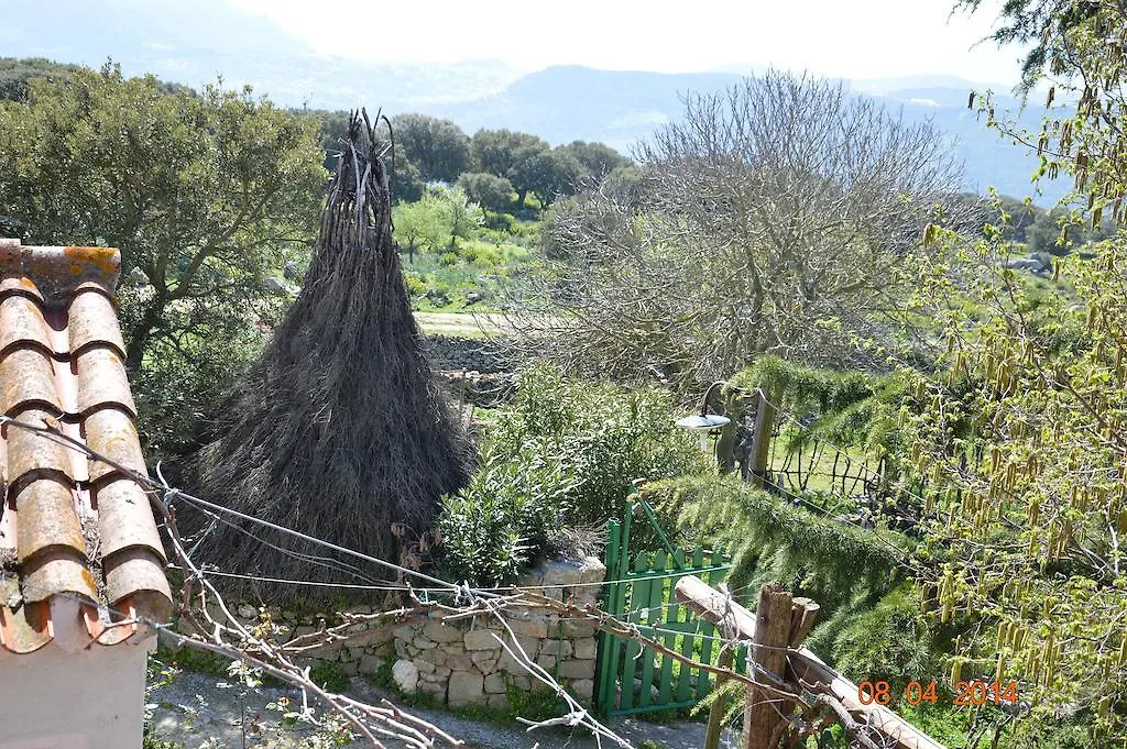 Agriturismo Costiolu Nuoro  Nuoro (Sardinia)