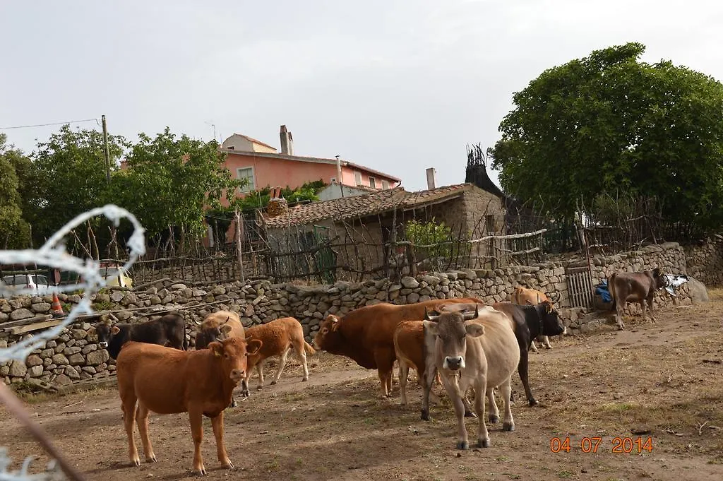 Agriturismo Costiolu Nuoro  Nuoro (Sardinia)