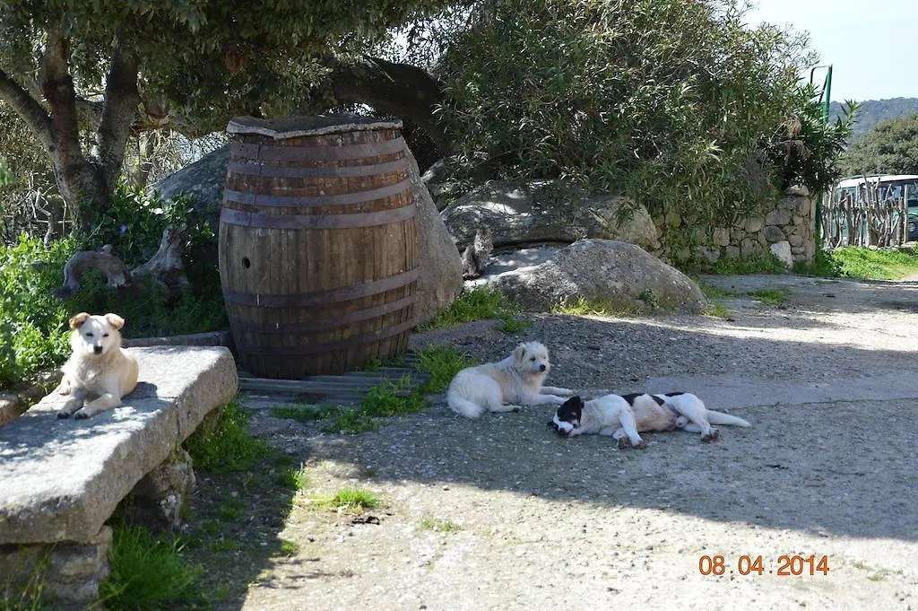 Agriturismo Costiolu Nuoro  Agroturismo