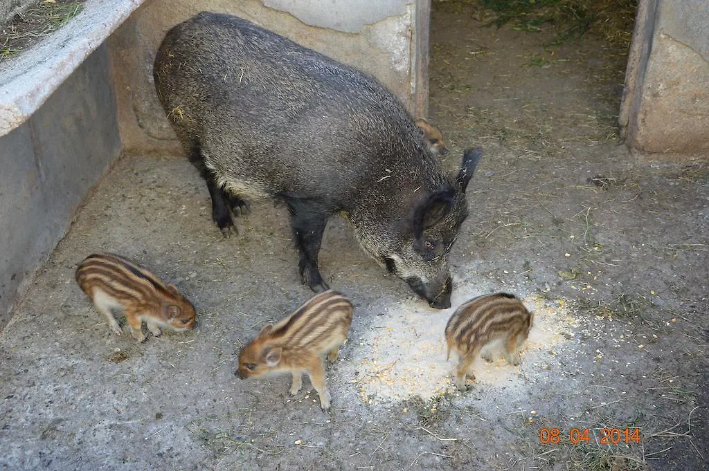 Agriturismo Costiolu Nuoro  Agroturismo Nuoro (Sardinia)