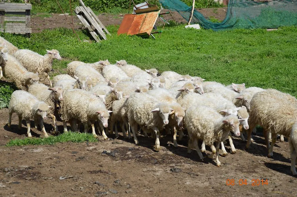 Agroturismo Agriturismo Costiolu Nuoro  Italia